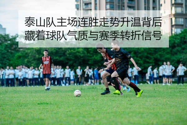 泰山队主场连胜走势升温背后 藏着球队气质与赛季转折信号（kaiyun）